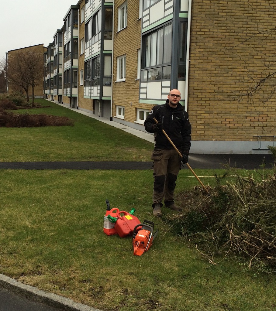 Beskärning av buskage